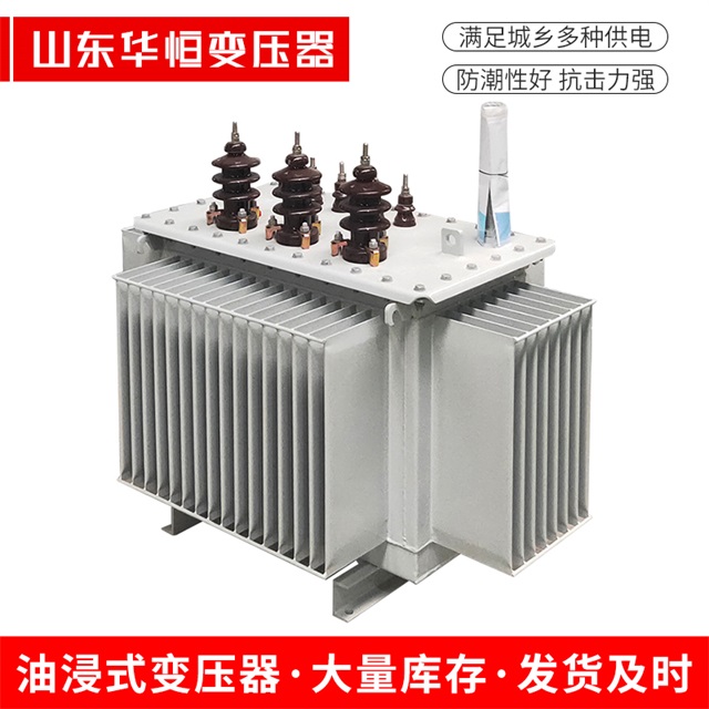 S13-10000/35广平广平广平油浸式变压器厂家